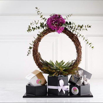 تويقس رينج II