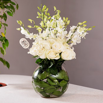 فازة الاوركيد