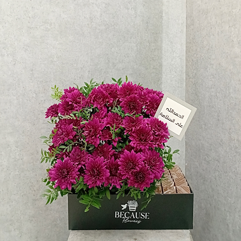 بلومينق بيربل